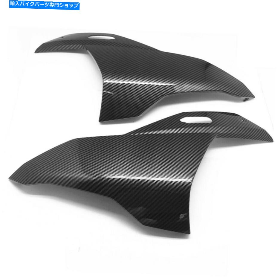 フェアリング BMW S1000RR 2019-2020のための炭素繊維の前面鼻のヘッドライトカバーのフェアリング Carbon Fiber Front Side Nos